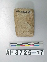藏品(磨製石錛)的圖片